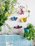 STUDIO ROOF Peacock Butterfly | 8718164514104 | Llibreria Sendak