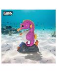 DODOLAND EUGY Cavallet de mar (141) | 9421036940626 | Llibreria Sendak