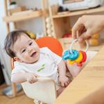 PLANTOYS Sonall clauer | 8854740052179 | Llibreria Sendak