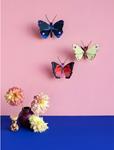 STUDIO ROOF Blue Diadem Butterfly | 8720629647456 | Llibreria Sendak