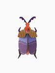 STUDIO ROOF Queen Beetle | 8718164519451 | Llibreria Sendak