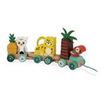 JANOD Arrastre tren tropical | 3700217382728 | Llibreria Sendak