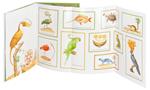 Le Jardin secret du dernier comte de Bountry | 9782361934019 | Llibreria Sendak