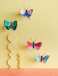 STUDIO ROOF Fern Striped Butterfly | 8720629642345 | Llibreria Sendak