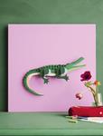 STUDIO ROOF Crocodile | 8720629646060 | Llibreria Sendak
