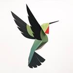 Plego Selasphorus platycerus (Colibrí) | 8436043720193 | Librería Sendak
