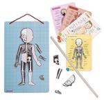 JANOD Cuerpo humano magnético | 3700217354916 | Llibreria Sendak