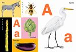 ABC de la nature | 9782361936136 | Gervais, Bernadette | Librería Sendak