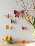 STUDIO ROOF Delias Butterfly | 8718164519468 | Llibreria Sendak