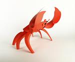 Plego Cancridae (Bou de mar) | 9999900004953 | Llibreria Sendak