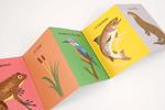 Balade au fil de l’eau | 9782368563502 | Molas, Charlotte | Librería Sendak