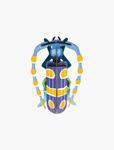 STUDIO ROOF Rosalia Beetle | 8718164513541 | Llibreria Sendak