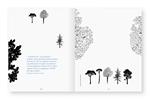 Munari per Rodari | 9788875708504 | VV.AA. | Llibreria Sendak
