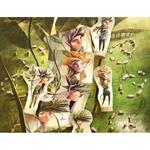 MARBUSHKA Under the leaves | 5999559660955 | Llibreria Sendak