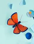 STUDIO ROOF Copper Butterfly | 8718164517587 | Llibreria Sendak