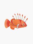 STUDIO ROOF Lionfish | 8720629640525 | Llibreria Sendak
