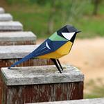 Plego Parus major (Mallerenga carbonera) | 9999900000306 | Llibreria Sendak