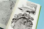 Les Julys | 9782494740099 | Nylso | Librería Sendak