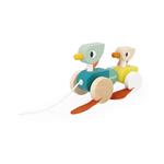 JANOD Patos para pasear | 3700217382117 | Llibreria Sendak