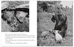 Deux petits ours | 9782352893790 | Ylla | Llibreria Sendak