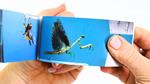 FLIPBOKU Bugs - Motion in Nature | 9788412799040 | Llibreria Sendak