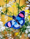 STUDIO ROOF Peacock Butterfly | 8718164514104 | Llibreria Sendak