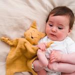APUNT Doudou Bio Guineu | 8436562941437 | Llibreria Sendak