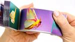 FLIPBOKU Moths - Motion in Nature | 9788412799033 | Llibreria Sendak