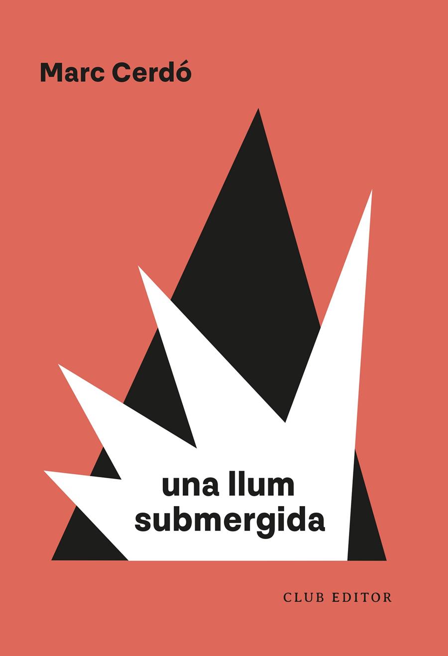 Una llum submergida | 9788473294751 | Cerdó, Marc | Librería Sendak