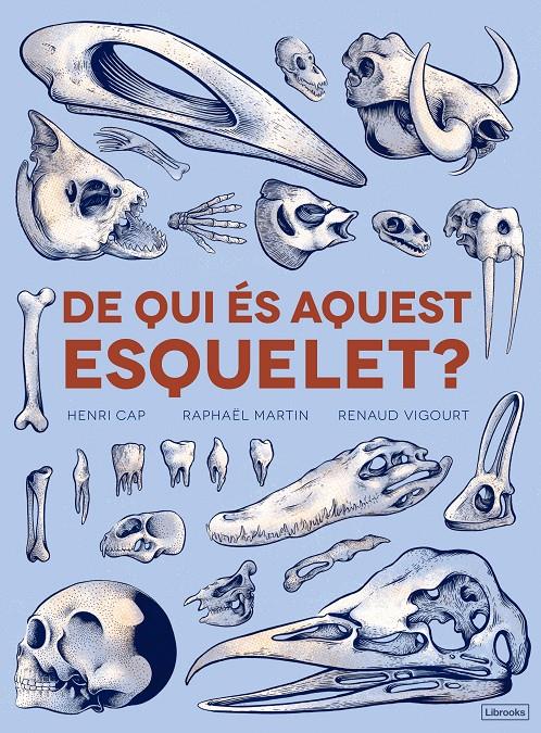 De qui és aquest esquelet? | 9788494731860 | Cap, Henri/Martín, Raphaël | Librería Sendak
