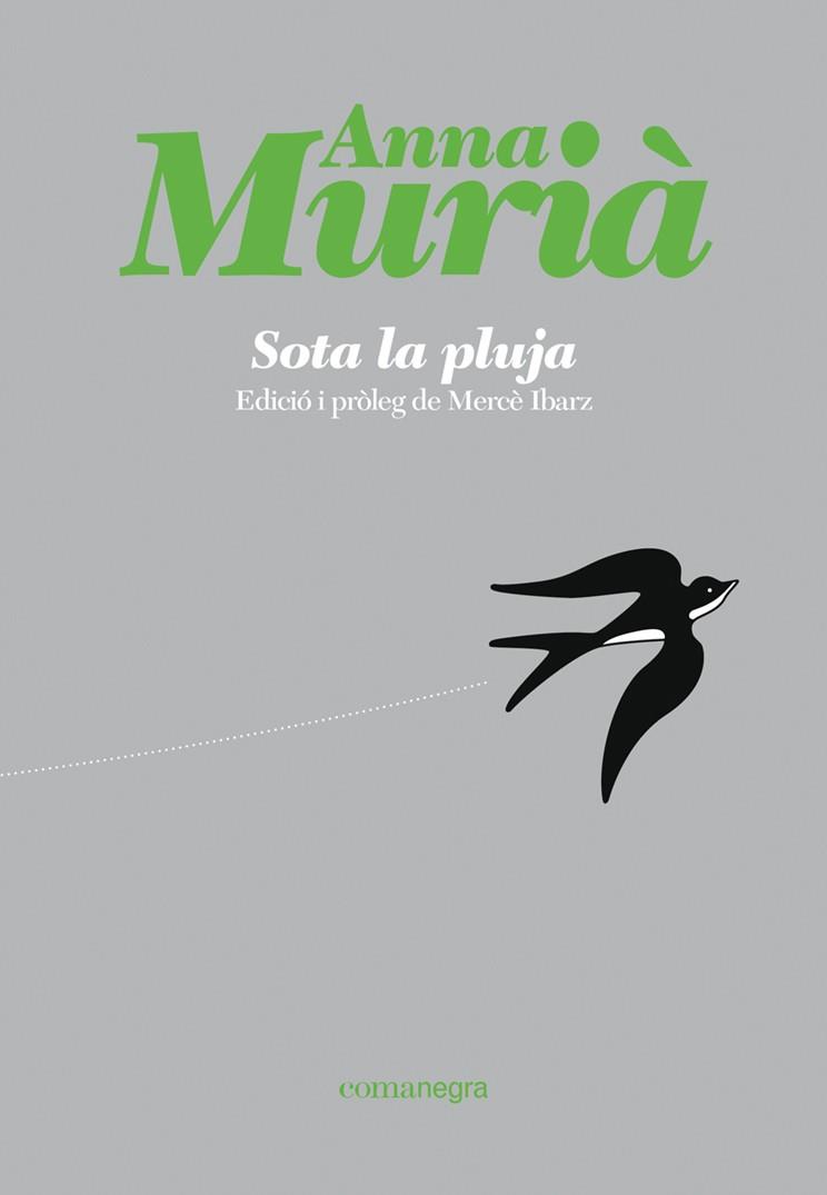 Sota la pluja | 9788418857430 | Murià Romaní, Anna | Librería Sendak