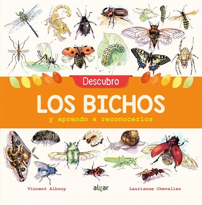 Descubro los bichos y aprendo a reconocerlos | 9788491422969 | Albouy, Vincent | Llibreria Sendak