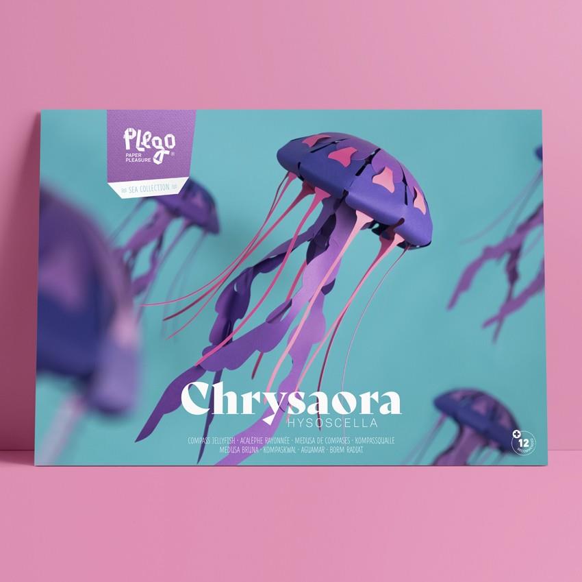 Plego Chrysaora hysoscella (medusa) | 8436043723149 | Llibreria Sendak