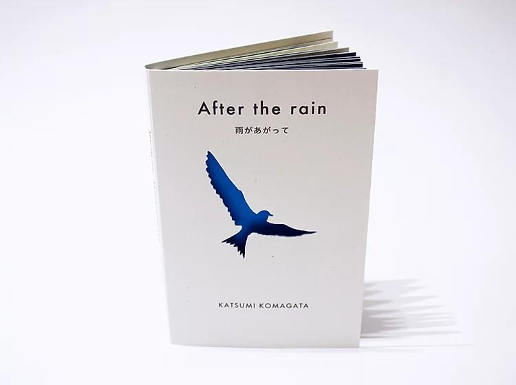 After the rain | 9999900003499 | Komagata, Katsumi | Llibreria Sendak