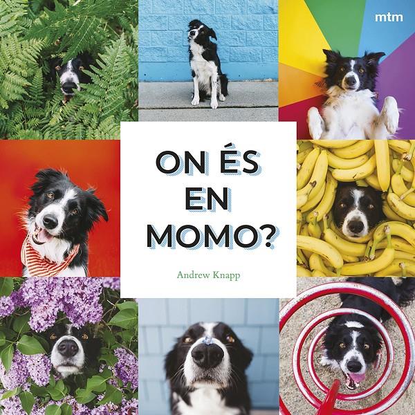 On és en Momo? | 9788410407893 | Knapp, Andrew | Librería Sendak