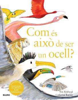 Com és això de ser un ocell? | 9788410048102 | Birkhead, Tim/Rayner, Catherine | Llibreria Sendak