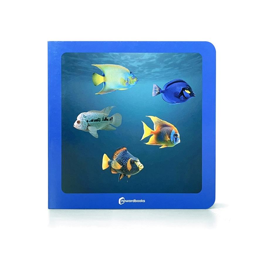 ¿donde estan los peces? | 9788412960570 | AA.VV. | Llibreria Sendak