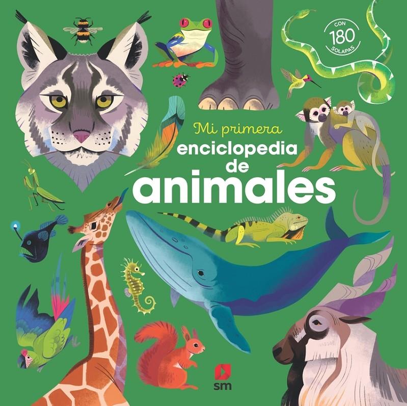 Mi primera enciclopedia de animales | 9788411829540 | Kecir-Lepetit, Emmanuelle | Librería Sendak