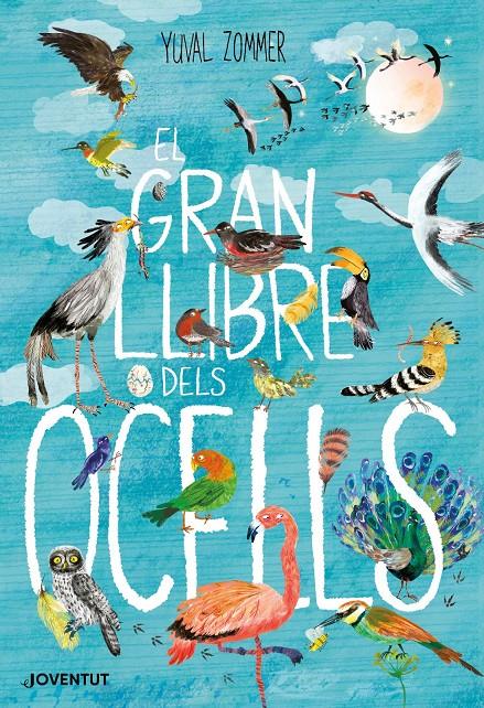 El gran llibre dels ocells | 9788426145840 | Zommer, Yuval | Librería Sendak