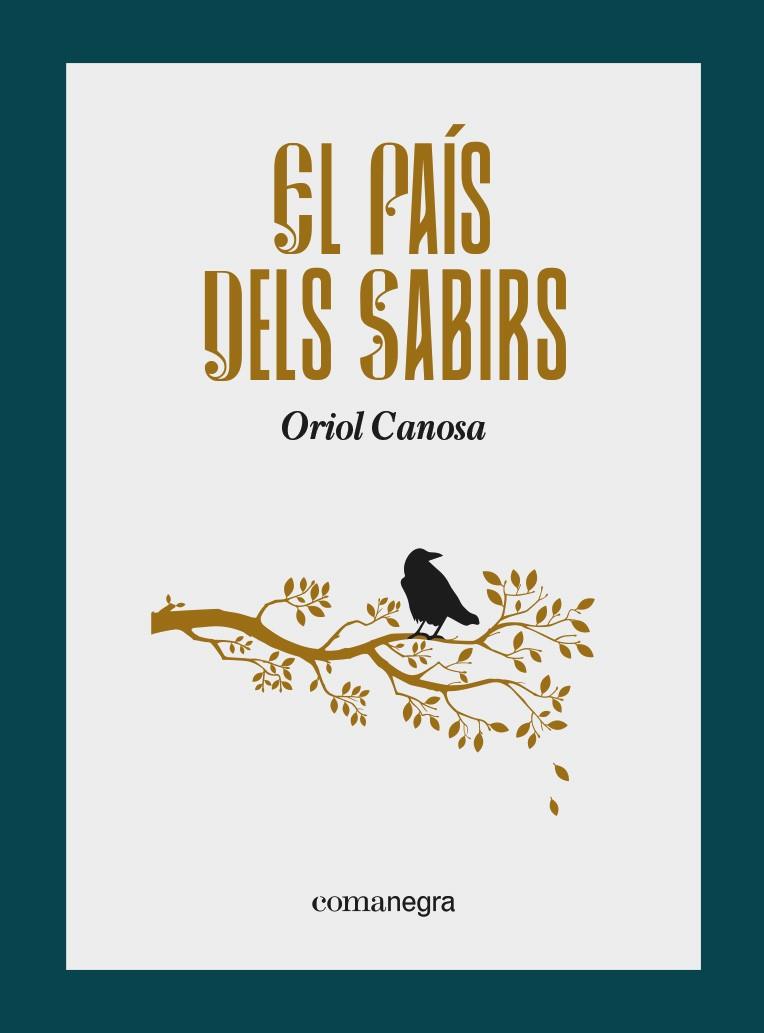 El país dels sabirs | 9788418857799 | Canosa, Oriol | Librería Sendak