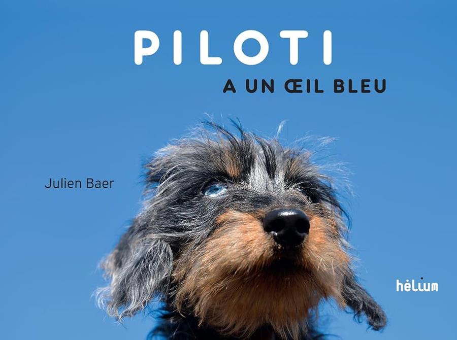 Piloti a un œil bleu | 9782330165710 | Baer, Julien | Llibreria Sendak