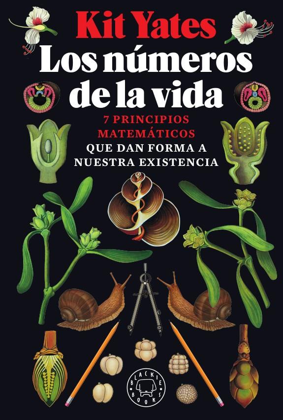 Los números de la vida | 9788417552947 | Yates, Kit | Librería Sendak