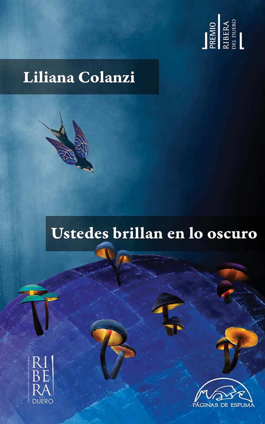 Ustedes brillan en lo oscuro | 9788483933145 | Colanzi, Liliana | Librería Sendak