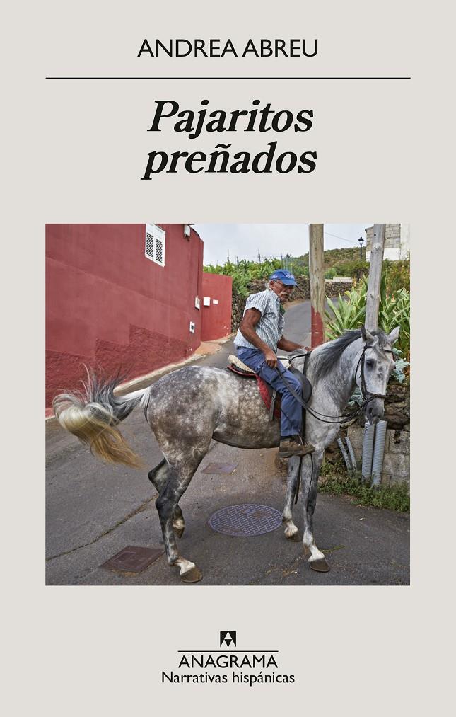 Pajaritos preñados | 9788433950819 | Abreu, Andrea | Llibreria Sendak