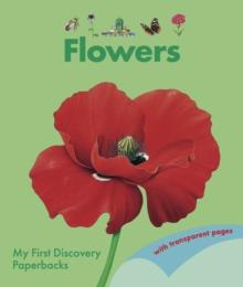Flowers | 9781851037575 | VV.AA. | Librería Sendak