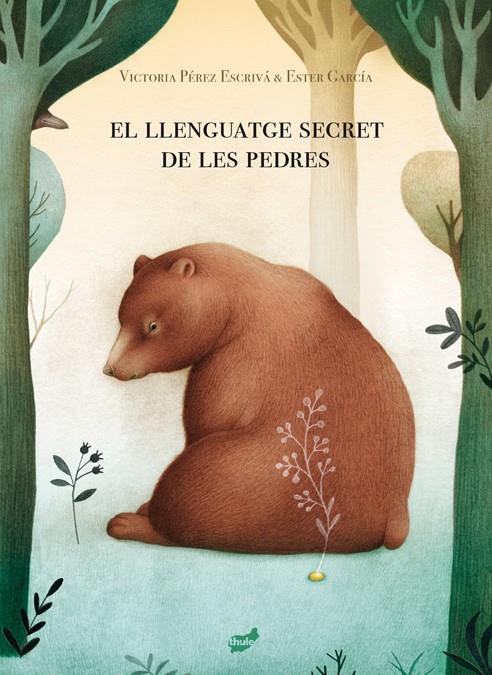 El llenguatge secret de les pedres | 9788418702013 | Pérez Escrivá, Victoria | Llibreria Sendak