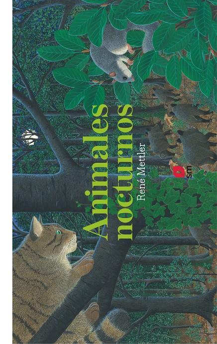 Los animales nocturnos | 9788413185439 | Mettler, René | Llibreria Sendak