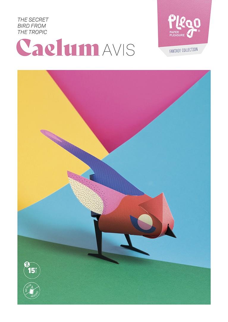 Plego Caelum AVIS | 8436043725020 | Llibreria Sendak