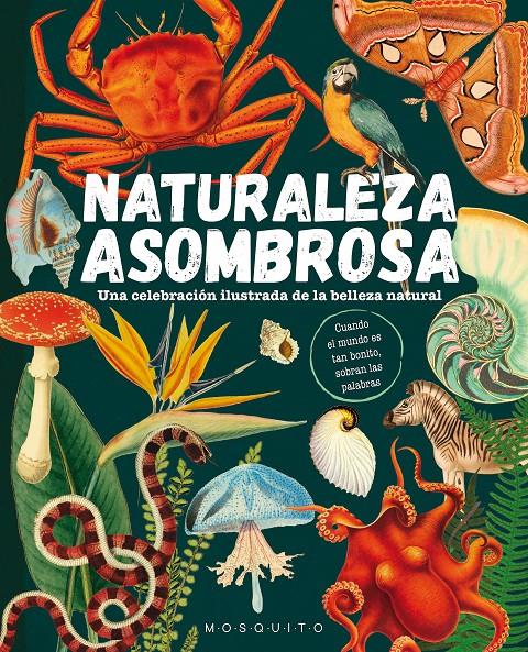 Naturaleza asombrosa | 9788419095589 | Mosquito Books | Librería Sendak