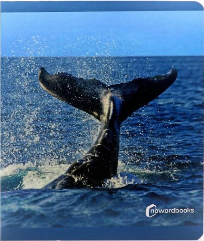 Animals del mar (format gran) | 9788412344561 | AA.VV. | Llibreria Sendak